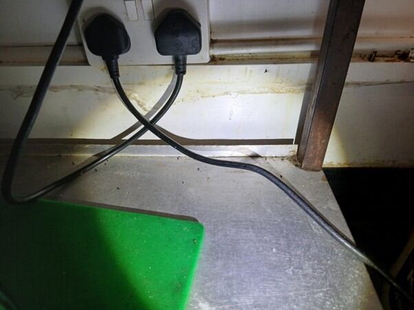 Mouse droppings