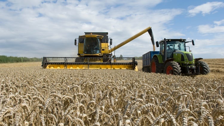 UK fertiliser manufacturer shuts down ammonia production amid cost concerns