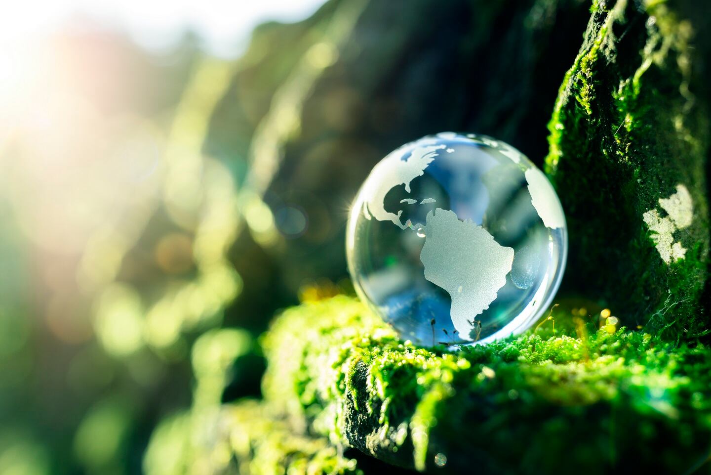Food processors' sustainability work eyes scope 3 emissions