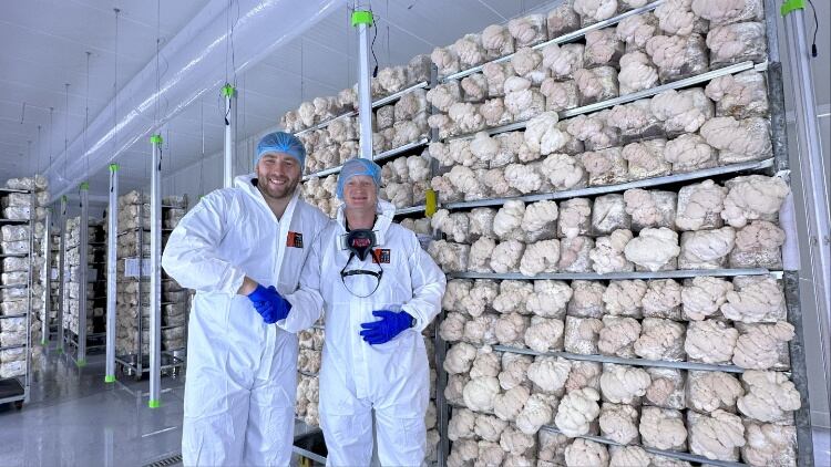 Urban Farm-It opens second UK mushroom farm