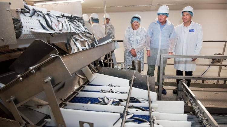 Morrisons opens ‘UK’s largest fish freezing centre’ after £12.8m investment