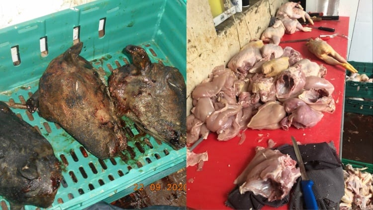 Two men jailed over plan to sell illegal meat unfit for human consumption