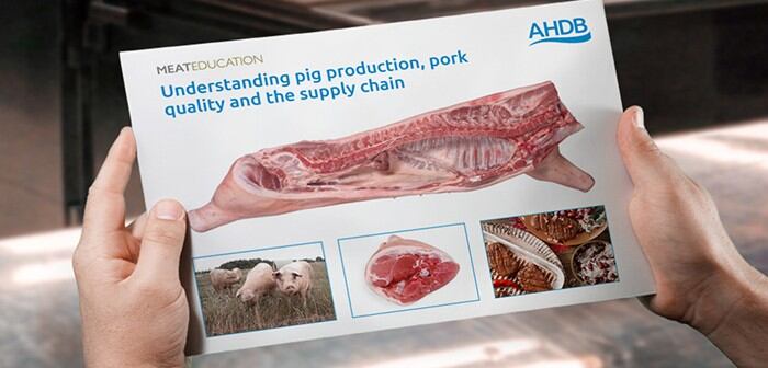 Pork training scheme launched by AHDB