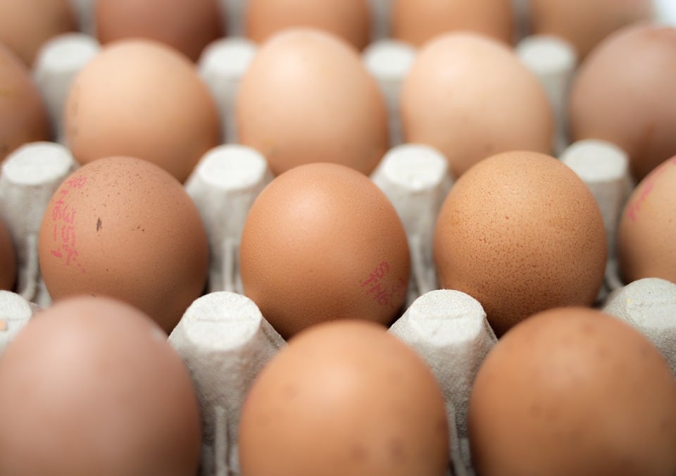 Insolvent-egg-firm-makes-staff-redundant.jpg