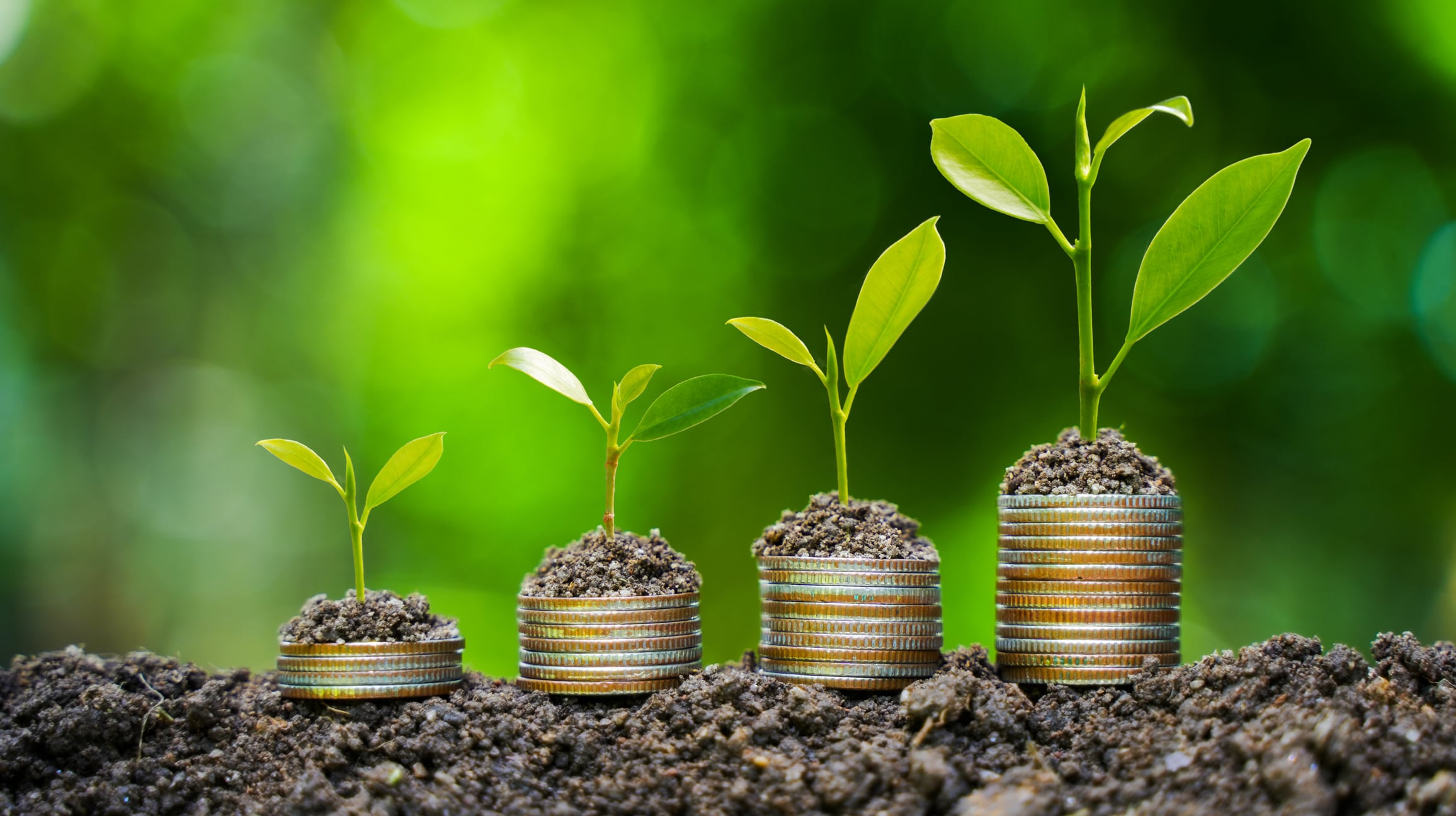 the light bulb sits on the ground Plants grow on stacked coins. Renewable energy production is essential for the future. Green businesses using renewable energy can limit climate change and global warming.