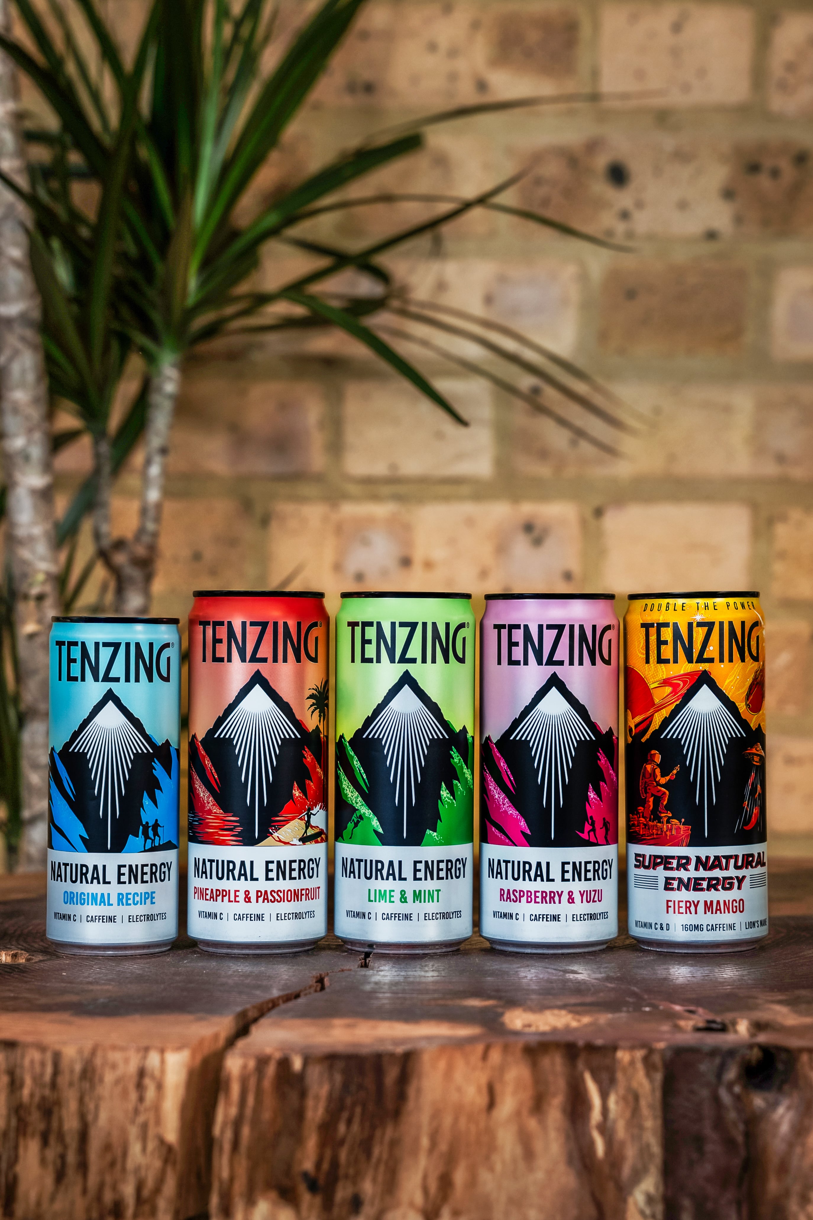 Tenzing line-up