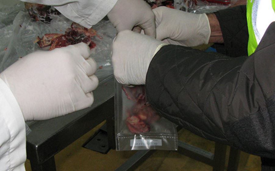 Following-the-investigation-samples-confirmed-the-horsemeat-was-destined-for-areas-mainly-outside-of-Spain.jpg