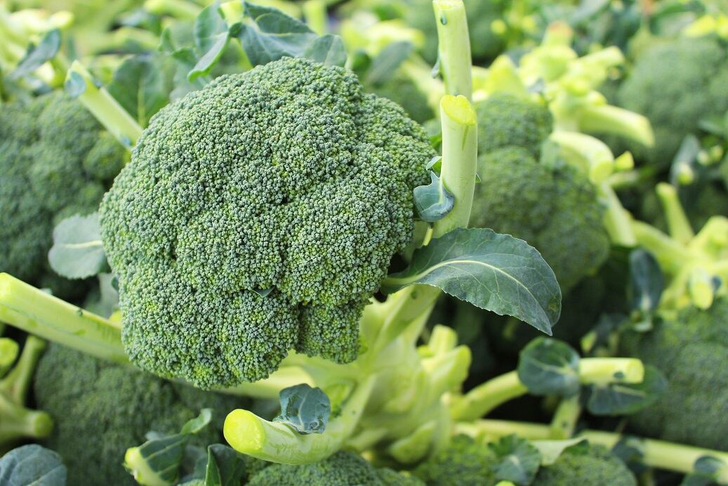 Broccoli and cauliflower wasted in droves in labour crisis