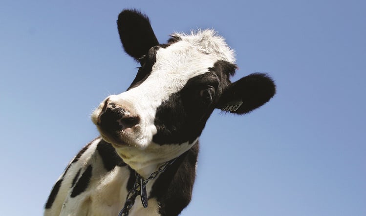 AB Agri completes purchase of National Milk Records 