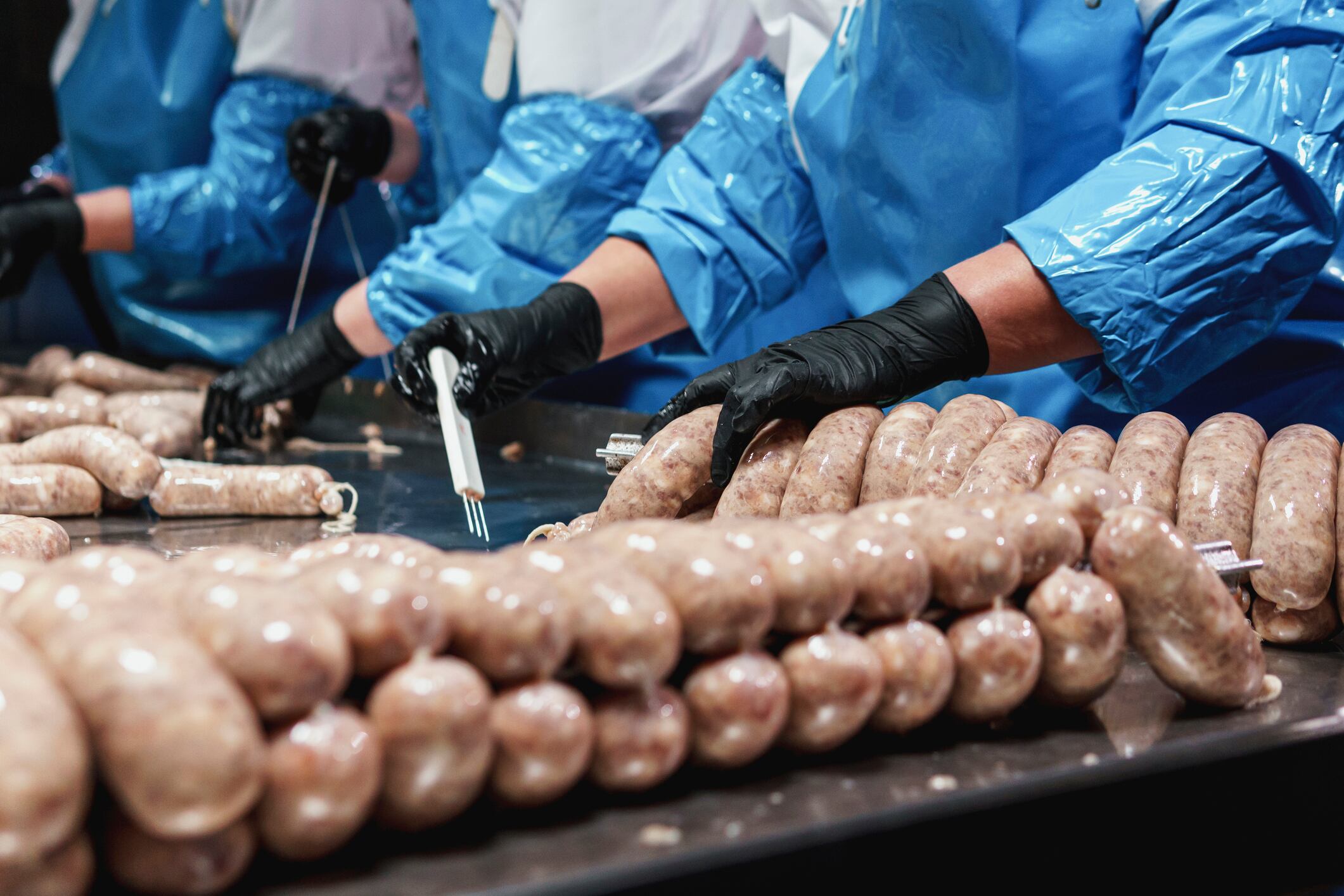 Sausage factory