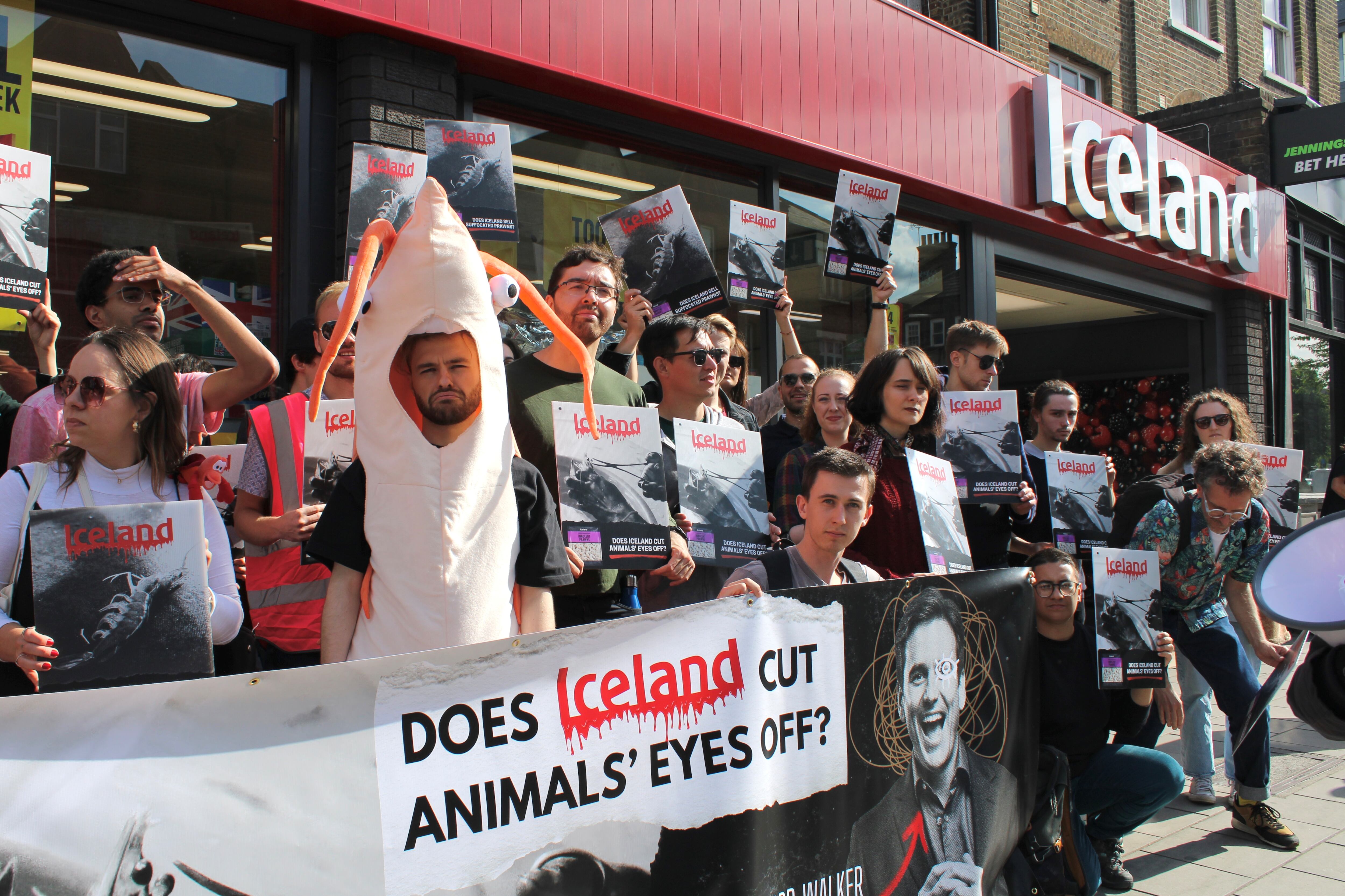 Iceland hit with protest over ‘horrifying’ prawn practices