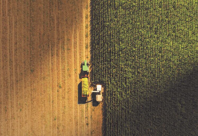 UK must invest in soil to ensure the future of sustainable food production