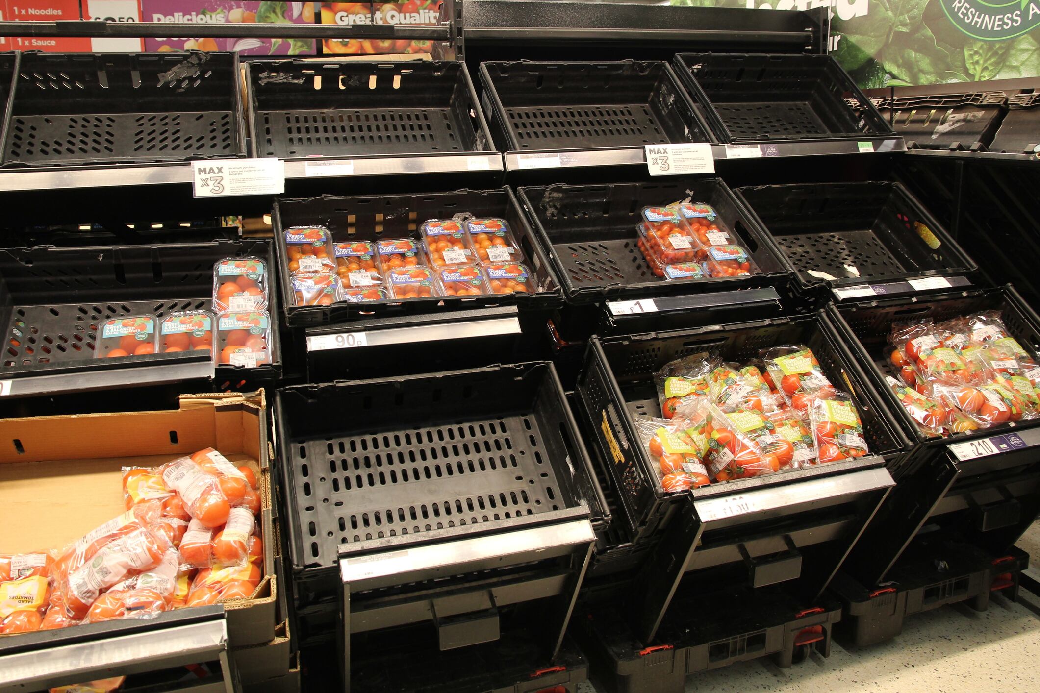 Loanhead, Scotland - 27 February 2023 Tomatoes and empty tomato crates at a supermarket near Edinburgh
