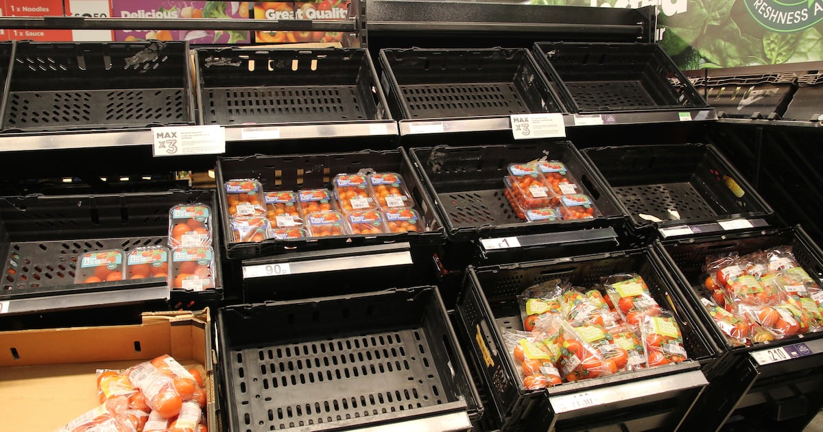 Prof Tim Lang calls for UK food security resilience law