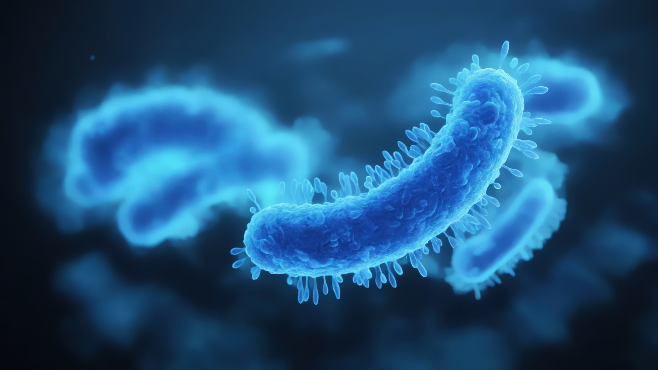 E.coli illustration
