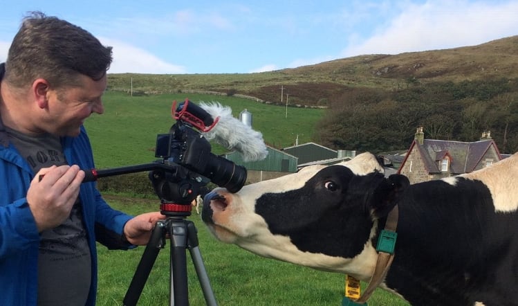 Crowdfunding bid to save Campbeltown Creamery launched