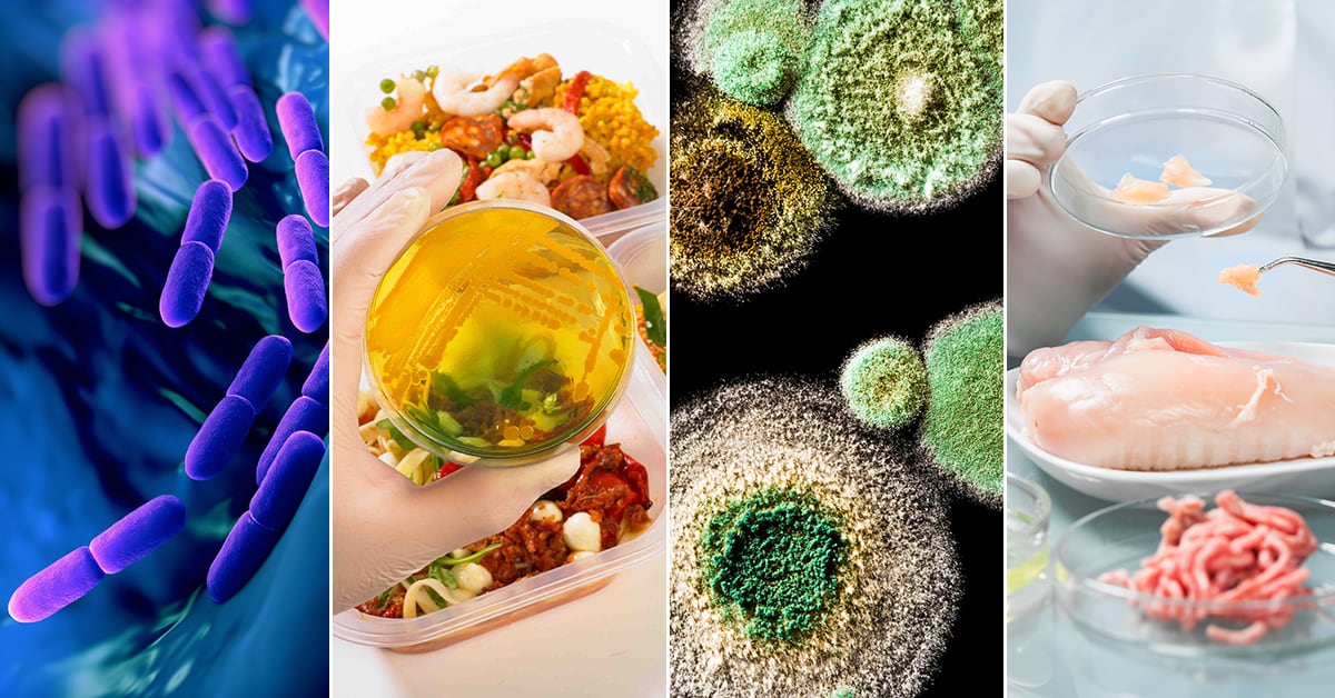 Fighting the microbial contamination threat in food manufacturing