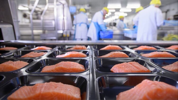 172 jobs lost as food packaging firm appoints administrators