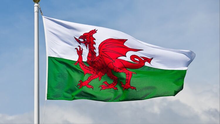 Six appointments to Food and Drink Wales Industry Board announced