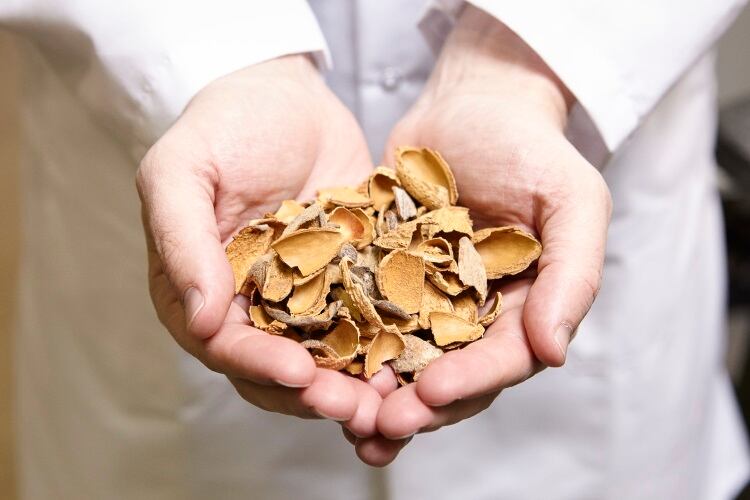 Almond Board of California invests $6.8m in global research