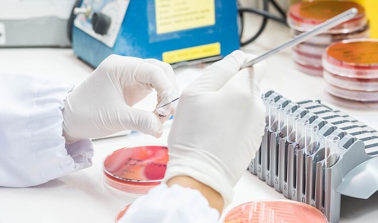 New £1.6m food safety network to tackle food poisoning challenges
