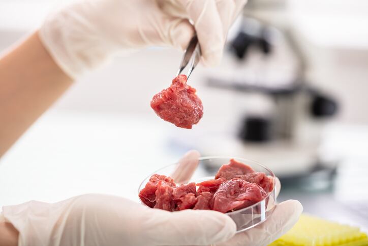 FSA and FSS publish new guides for Lab-grown meat and novel foods.