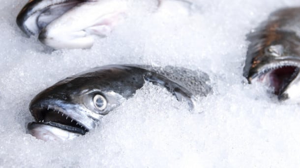 UK fishing industry told to prepare for no-deal Brexit