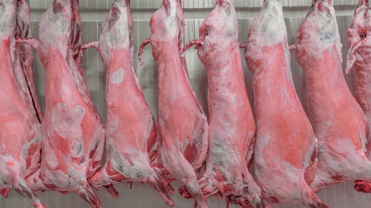 UK sheep meat exports soar as beef and pork fall