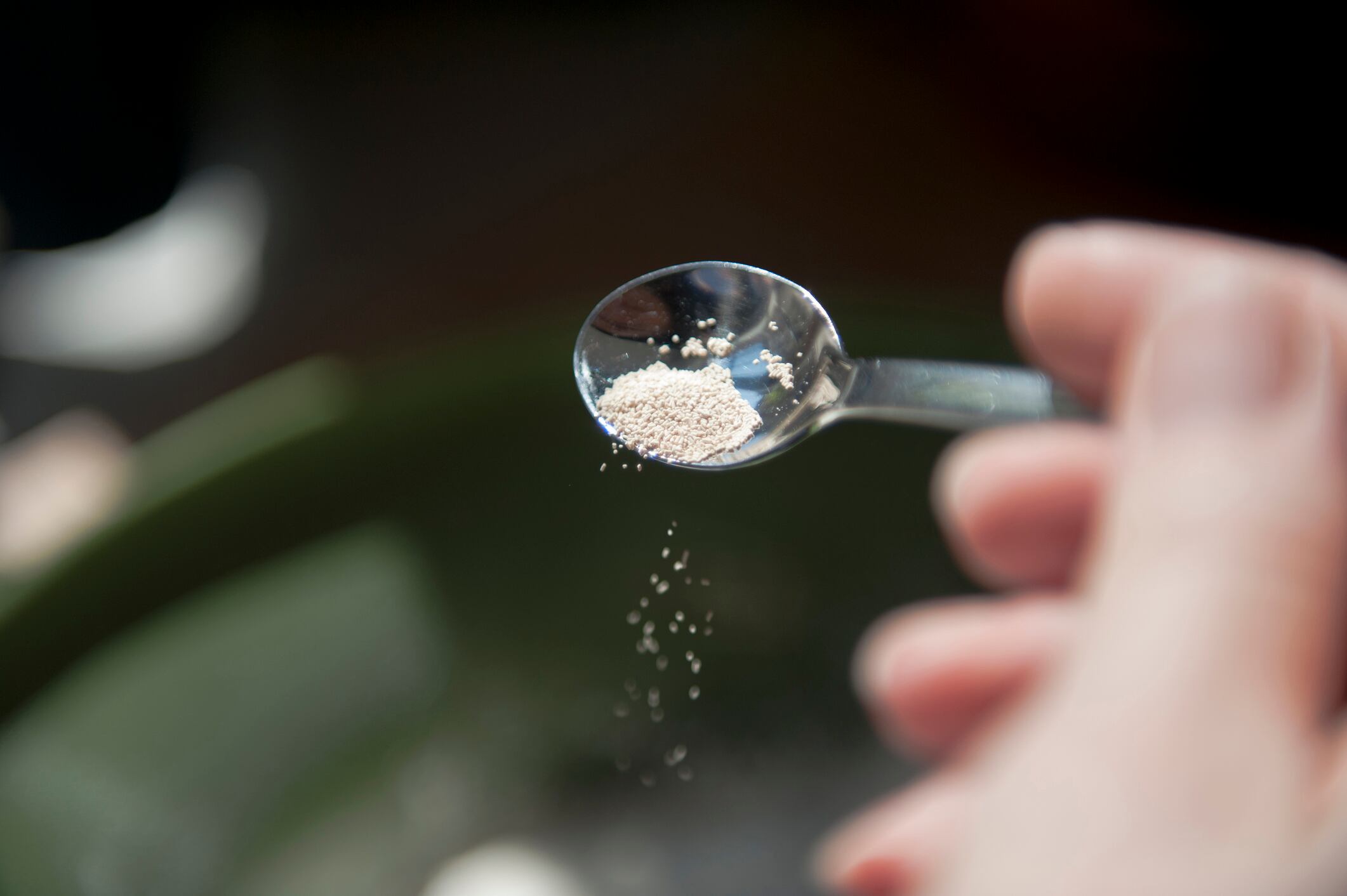 GettyImages-645387025-yeast-pouring-from-a-spoon.jpg