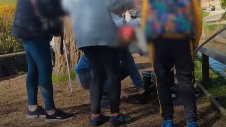 Animal abuse exposed on trout farm in undercover footage