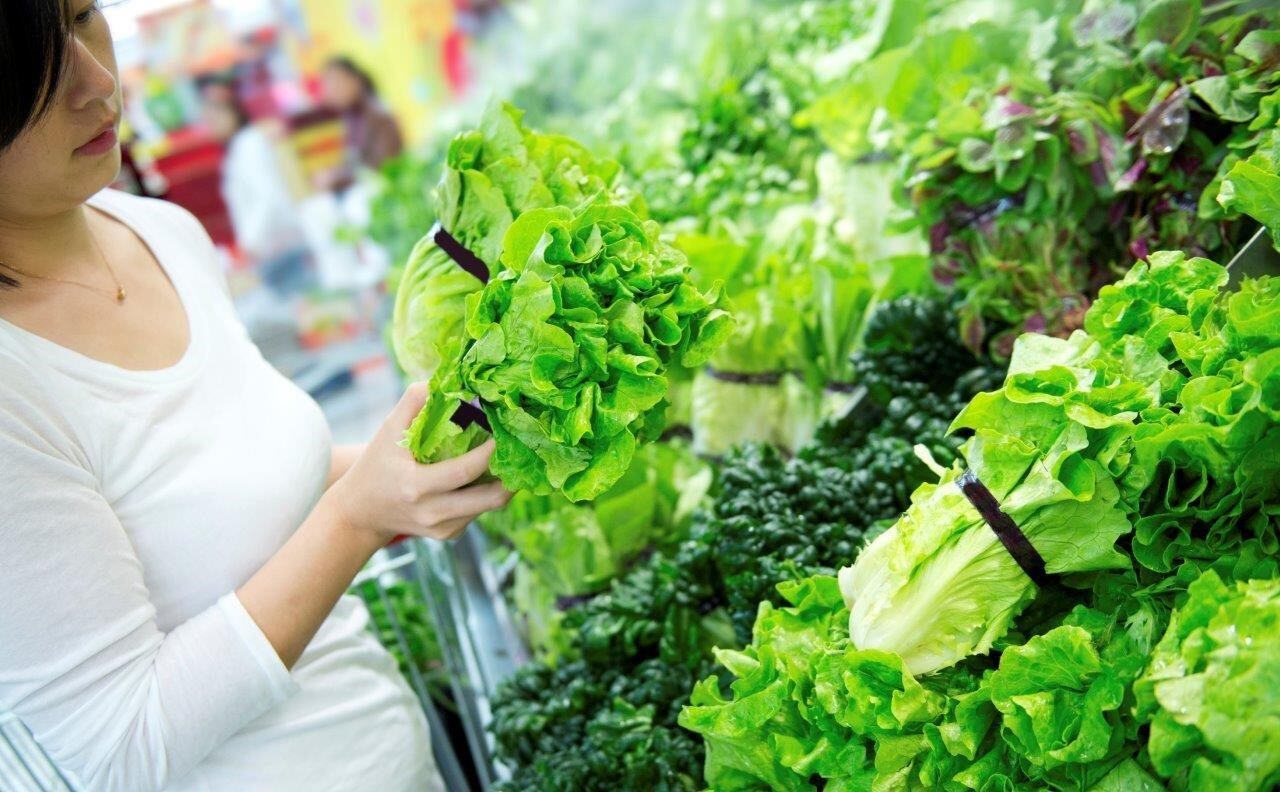 Deadly norovirus found in one-in-20 lettuces