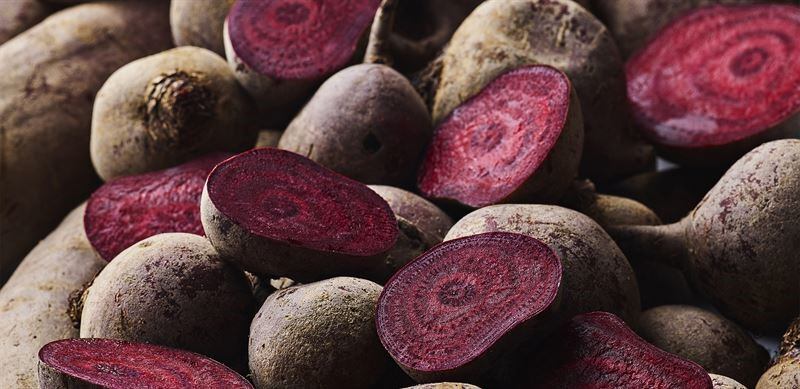 Denmark's Oterra acquires Diana Food's Holbeach site