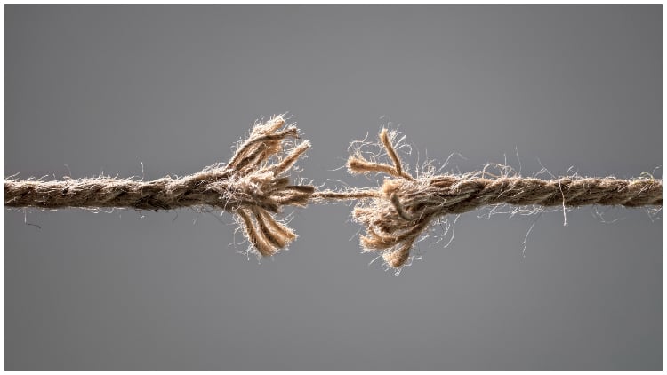 6-ways-to-build-a-robust-food-supply-chain-in-an-unstable-world.jpg