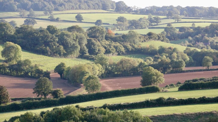 UK farm project to show intensive farmers another way