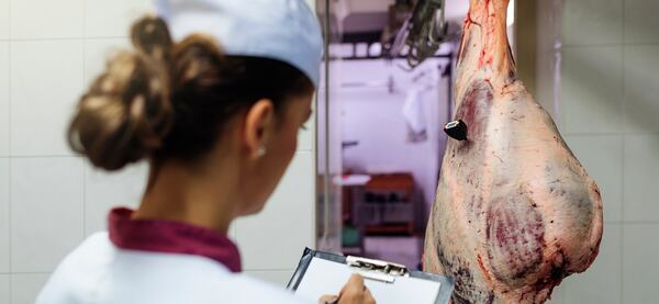 Meat industry called on to contribute to gender report 