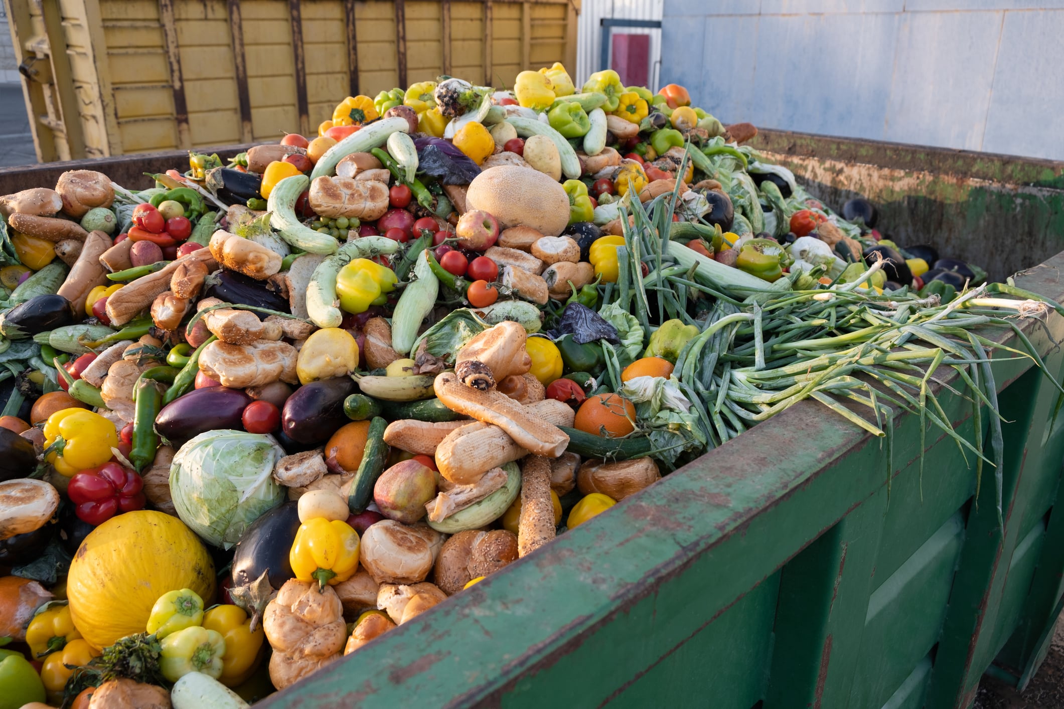 Expired food waste in a bin.