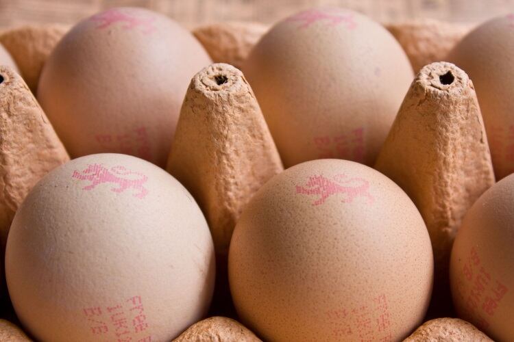 Egg contracts under scrutiny