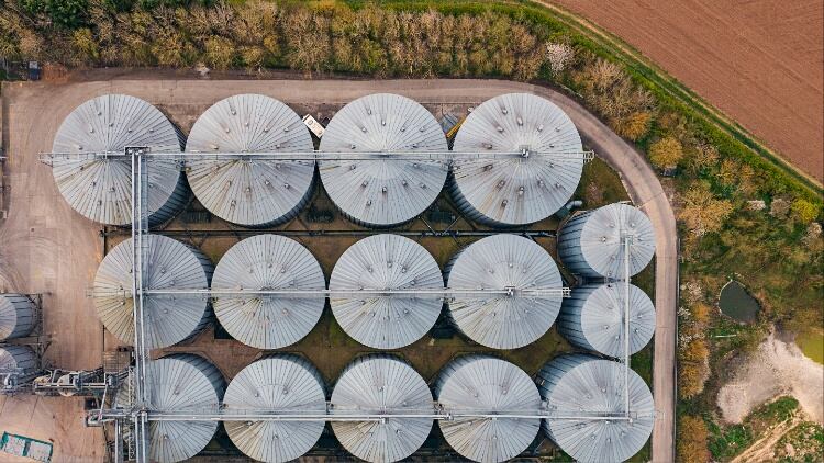 Animal feed producer makes senior appointment ahead of £20m mill opening