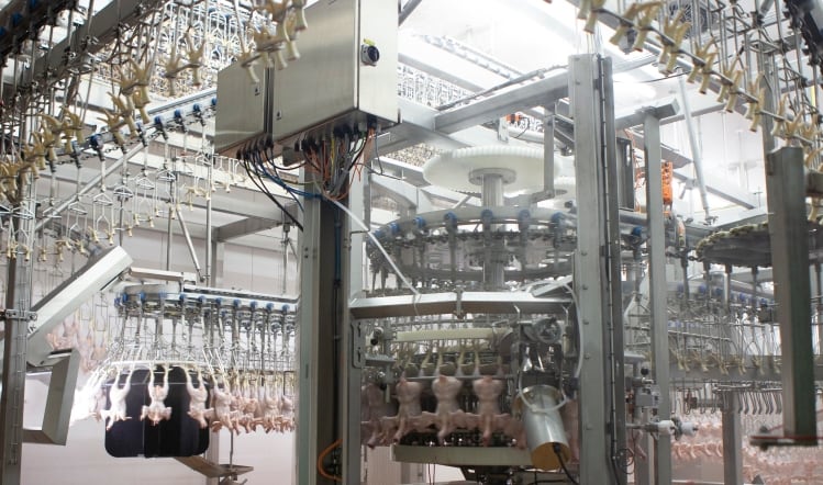 Meat processors battle challenges with investment