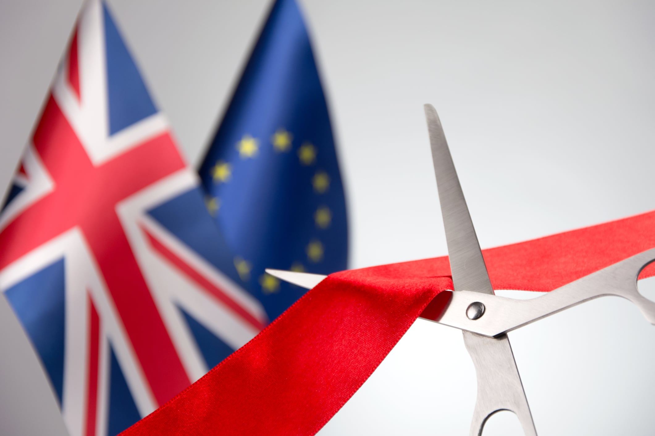 Cancelled: Extra checks on EU live animal imports