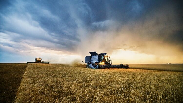Study explores potential of carbon sequestration on agricultural land