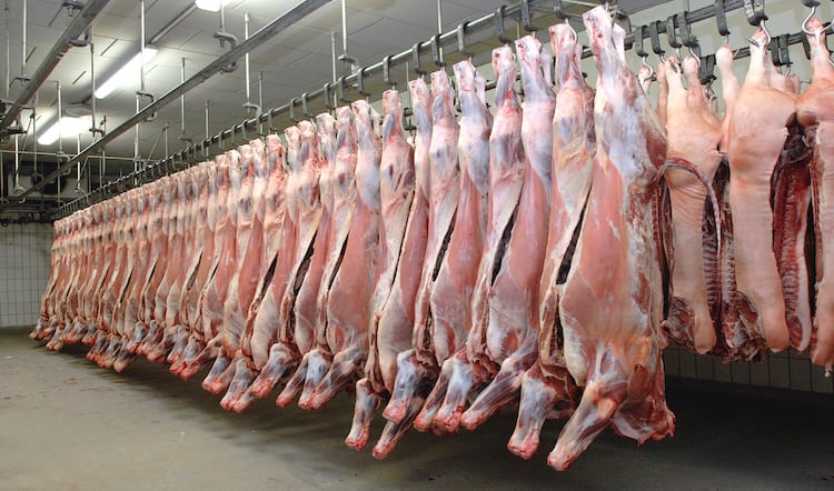 Small abattoirs should be given financial support, claim group of MPs