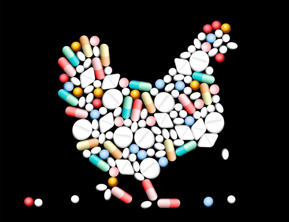 chicken-antibiotics.jpg