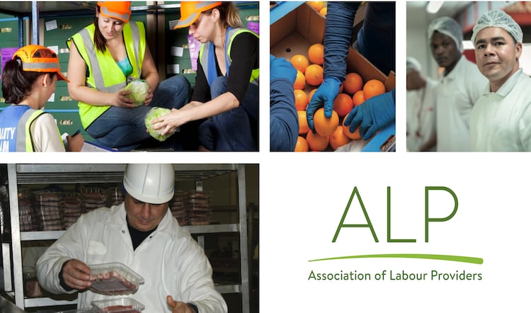 Government policy to recruit UK based workers is "ineffective"