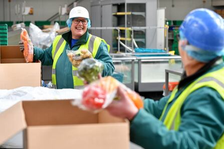 Morrisons-delivery-boxes.png