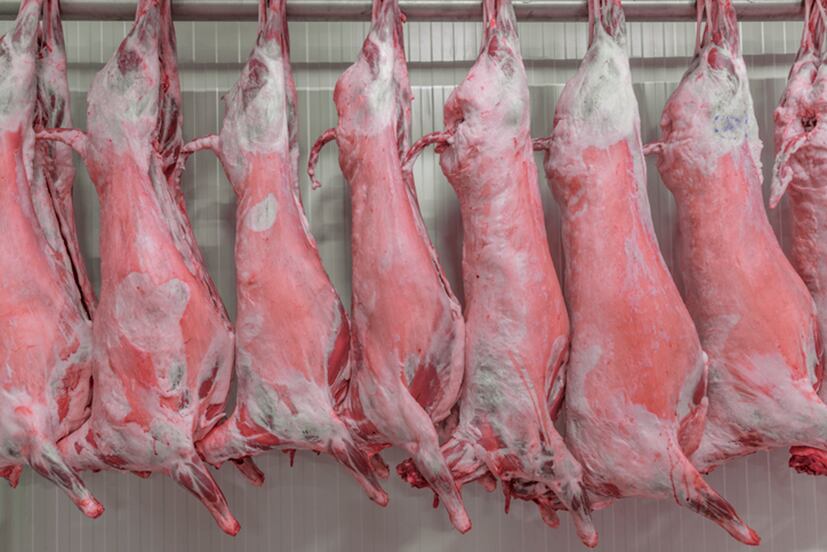 No barrier for organic kosher and halal meat