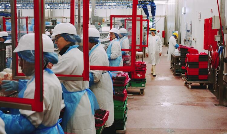 Coronavirus: Unite rejects two-metre social distancing reduction following meat factory outbreaks