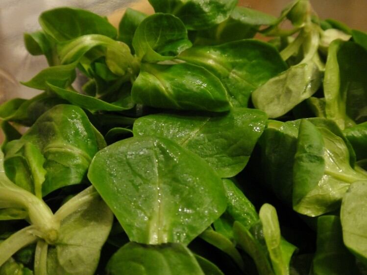 New vertical farm secures £100m investment