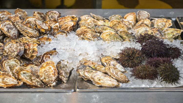 UK shellfish will suffer “disproportionately” under Brexit 