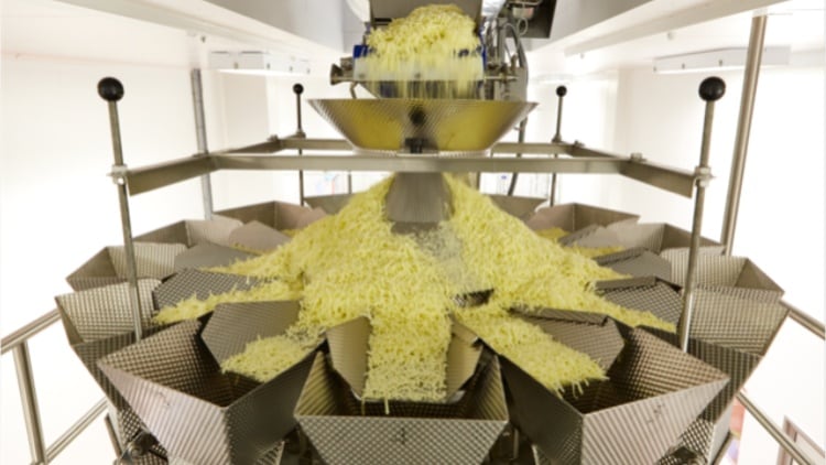 Leading UK cheese processor invests £4m in new facility
